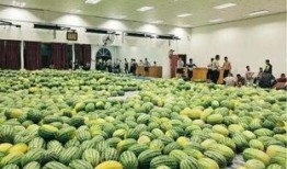 学校新瓜最新爆料江苏,揭秘校园风云背后的真相！”